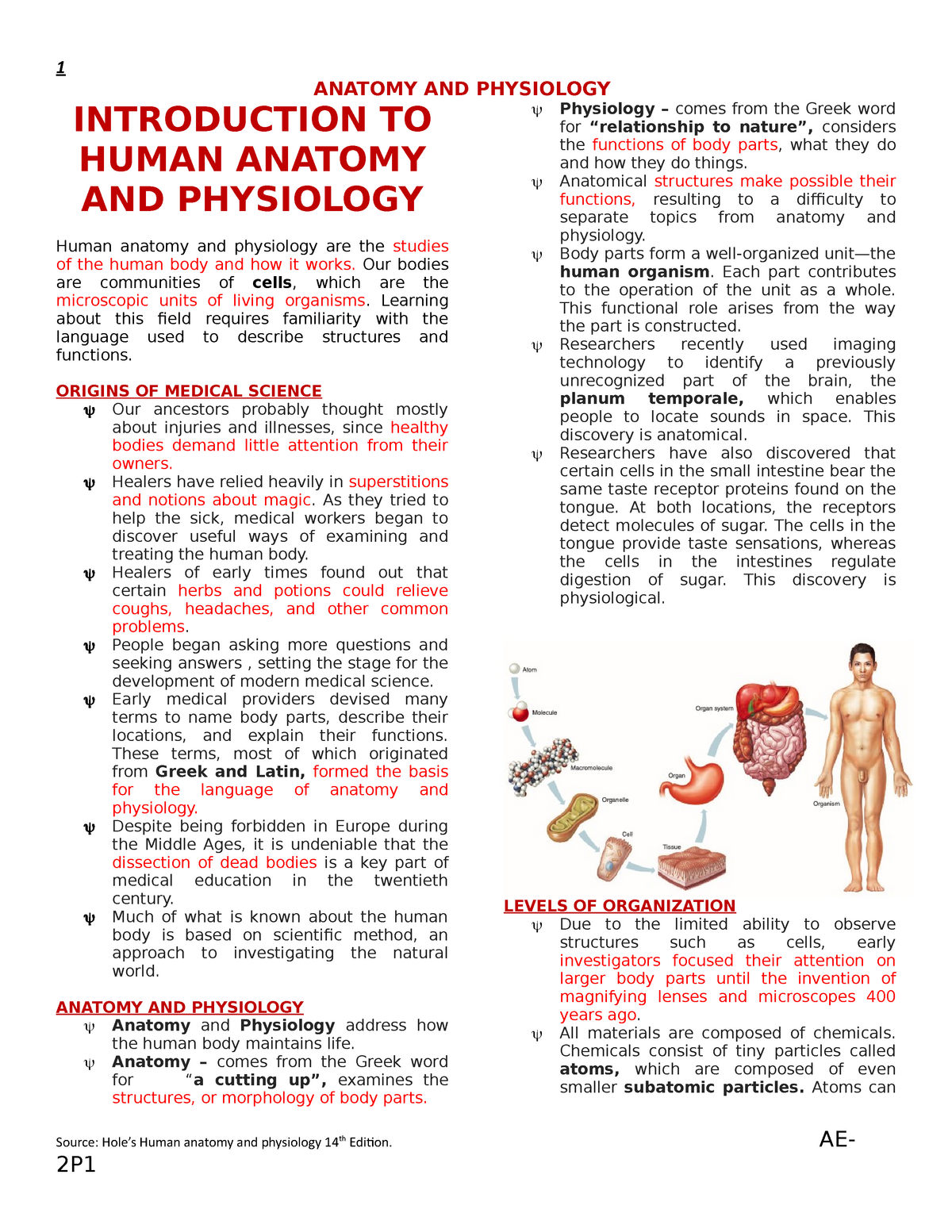Holes Anatomy And Physiology 14th Edition Study Guide - Study Poster