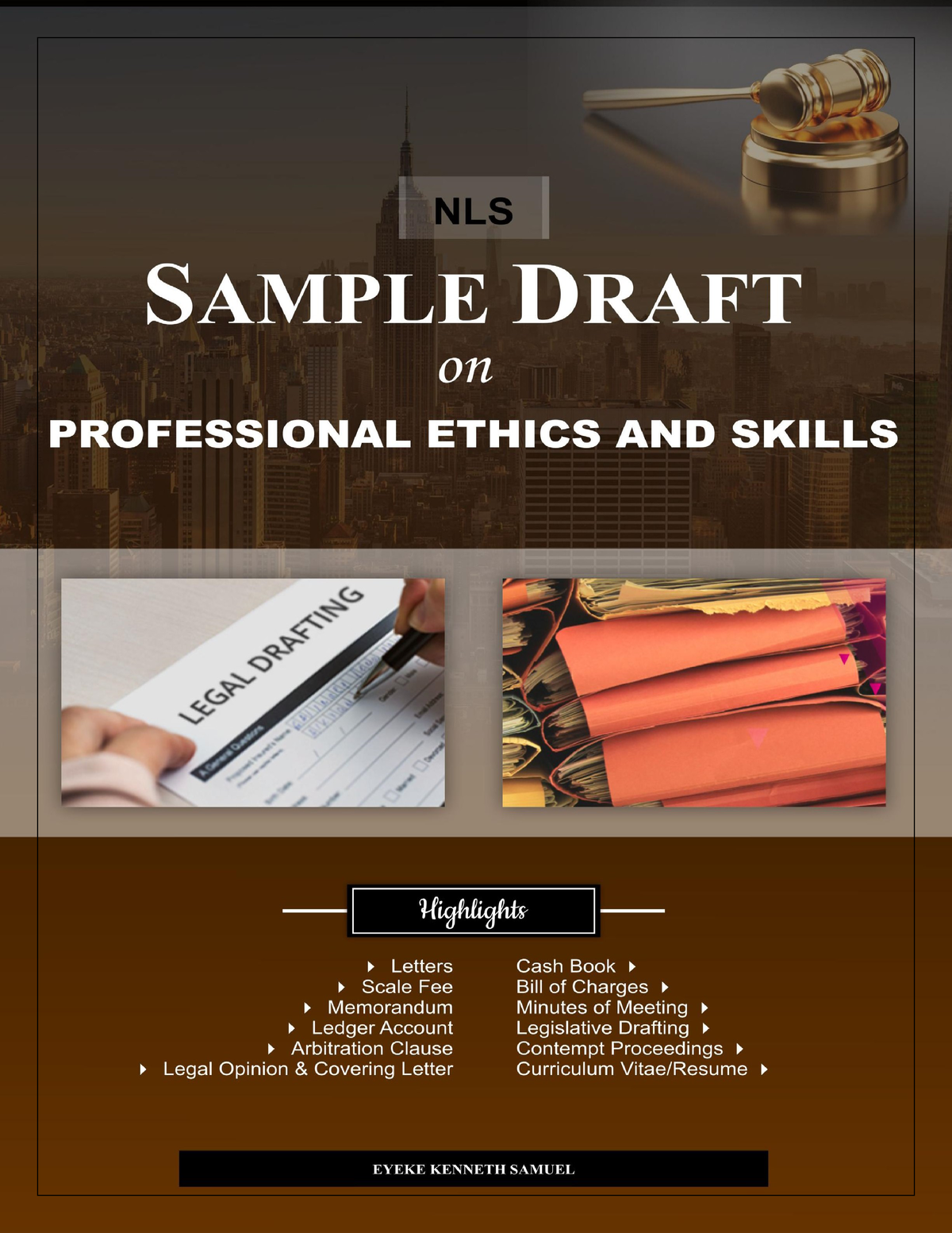 professional ethics law assignment pdf