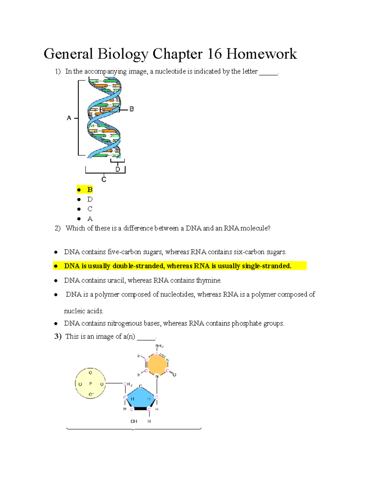 General Biology Chapter 16 Homework - General Biology Chapter 16 ...