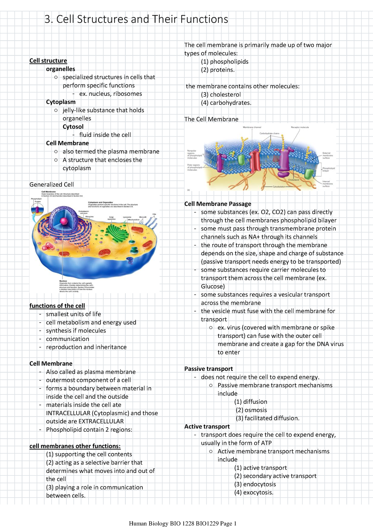 3. Cell Structures and Their Functions - Cell structure organelles ...