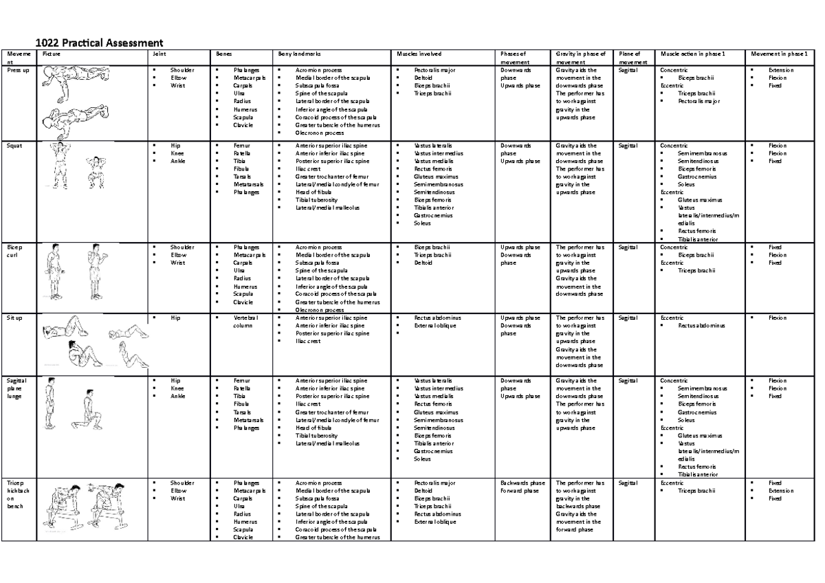 1022 Practical Assessment - 1022 Practical Assessment Moveme nt Picture ...