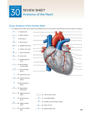 [Solved] What is COPD and how does it affect ventilation - Anatomy and ...