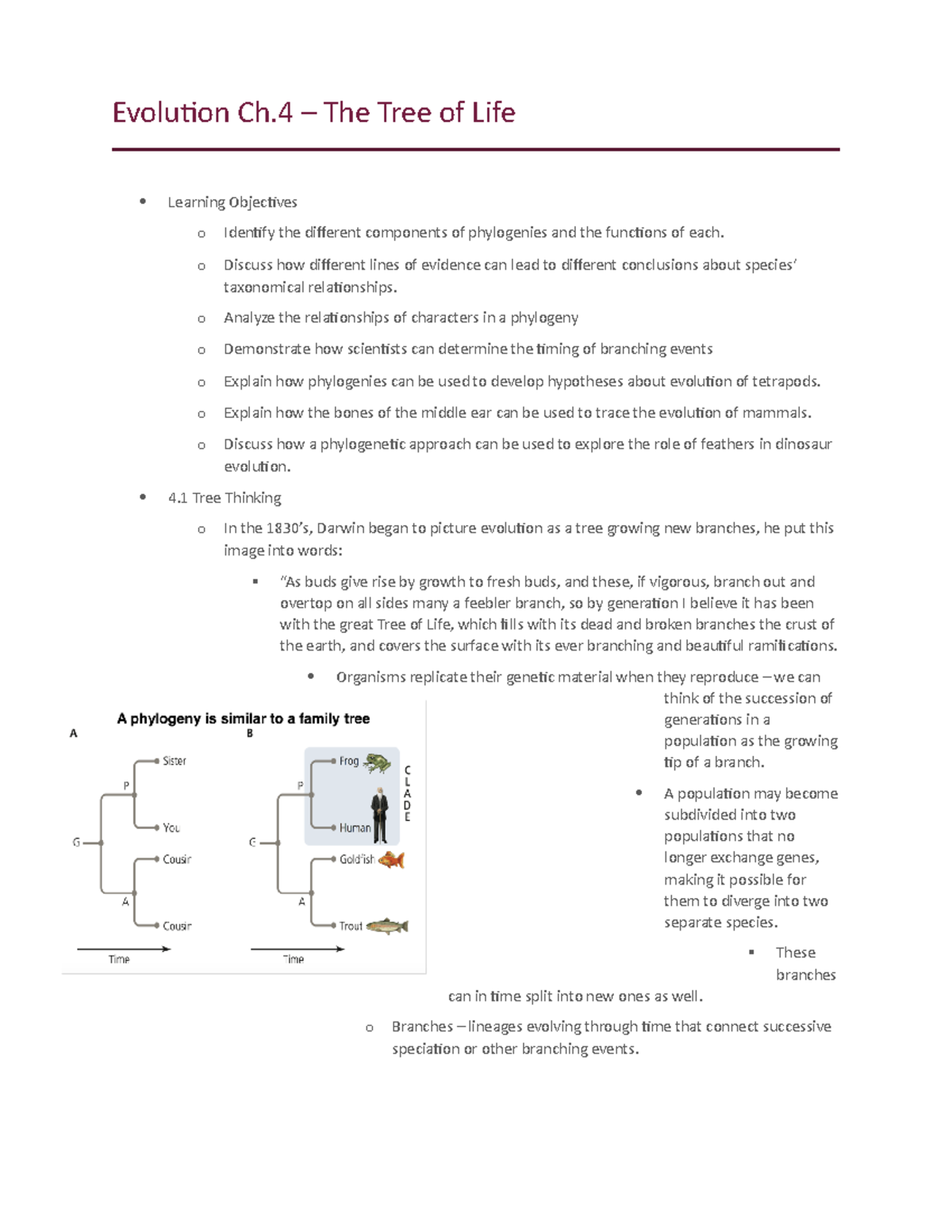 Evolution Ch4 - Harris, Chapter Summaries - Evolution Ch – The Tree of ...