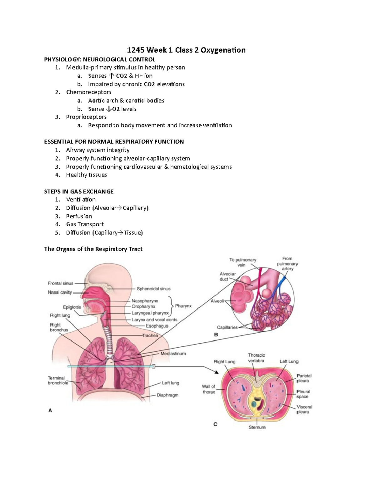 1245 Week 1 Class 2 Oxygenation - 1245 Week 1 Class 2 Oxygenation ...