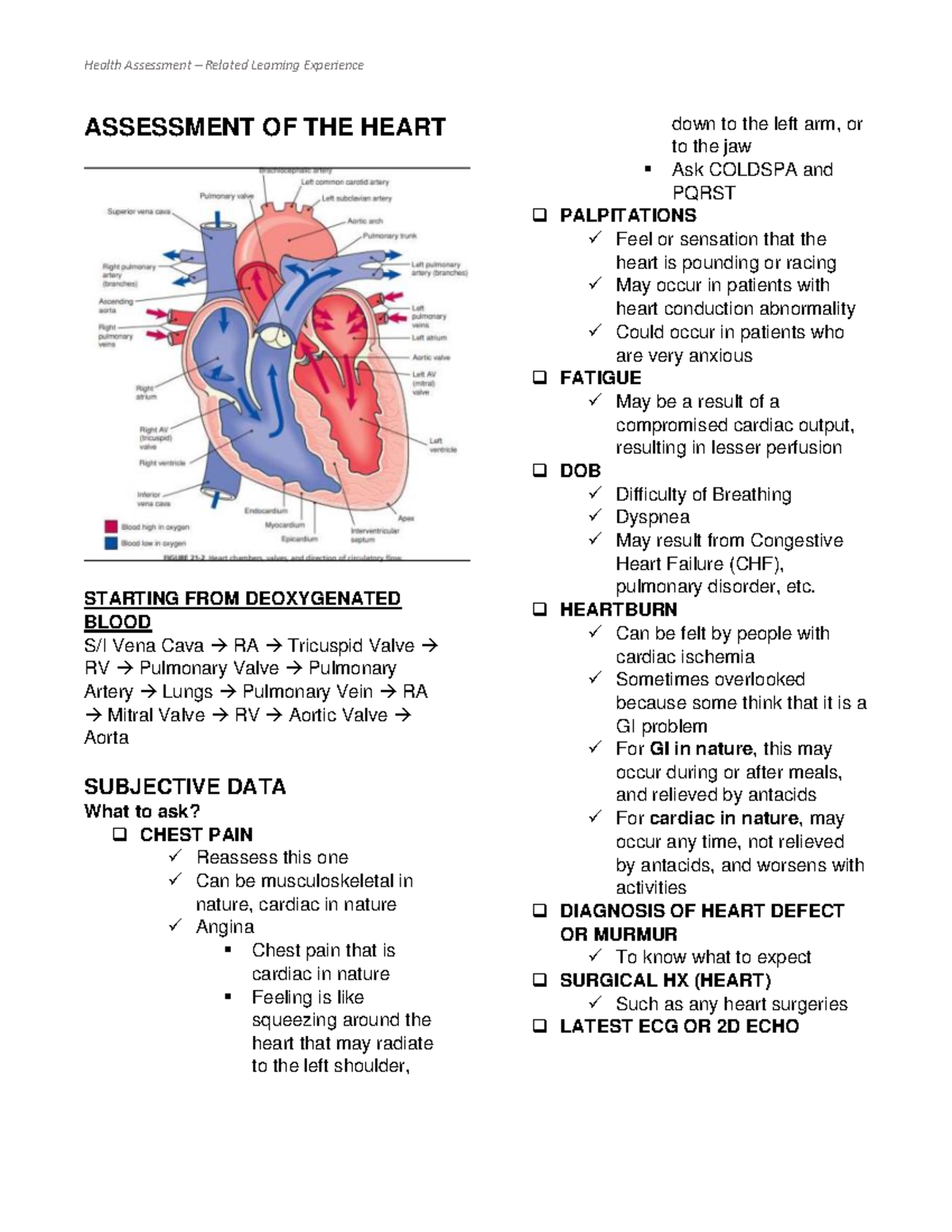 Heart-Assessment - Head-Face-Assessment - ASSESSMENT OF THE HEART ...