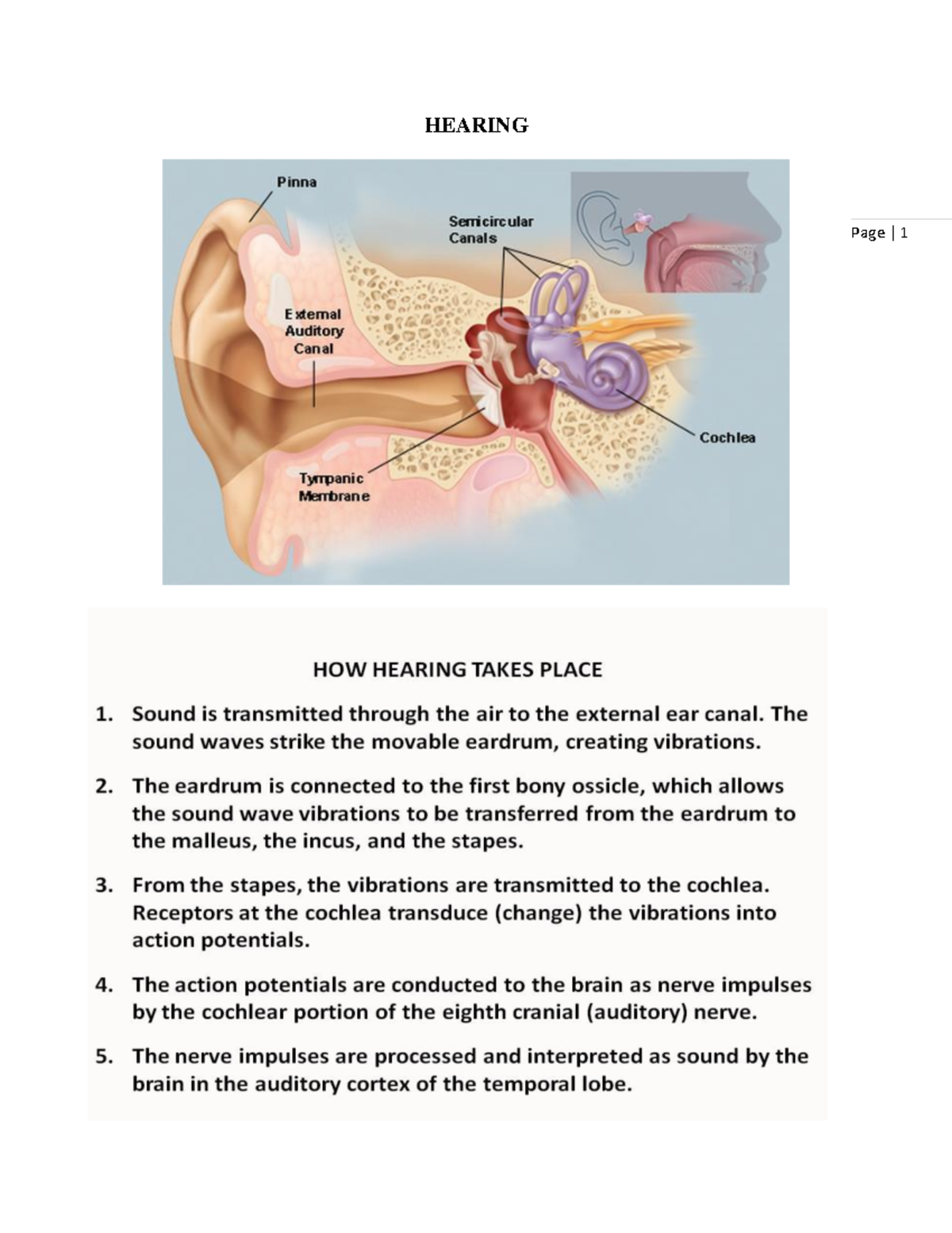1 Hearing - Page | 1 HEARING Page | 2 WAYS TO ASSESS HEARING Voice Test ...