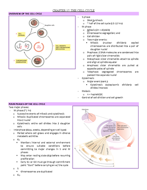 Introduction To Cytogenetics Notes - Introduction To Cytogenetics ...