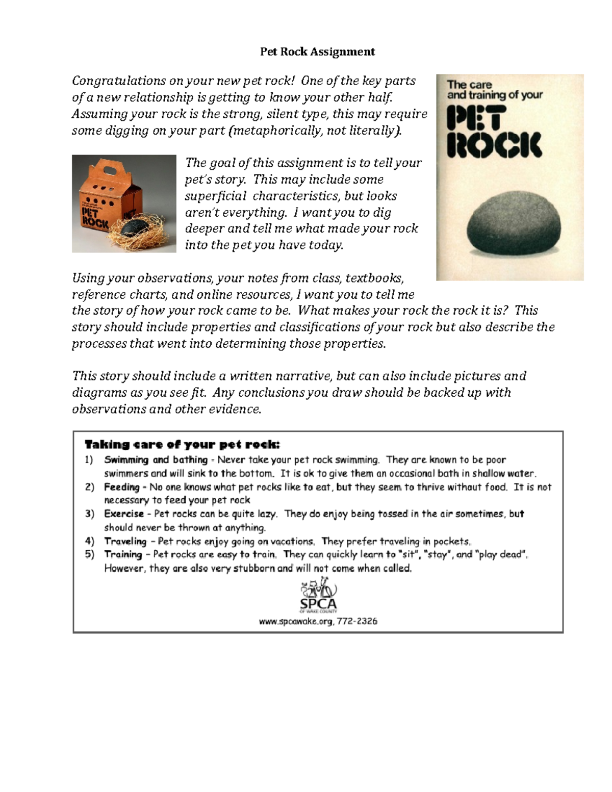 pet rock assignment