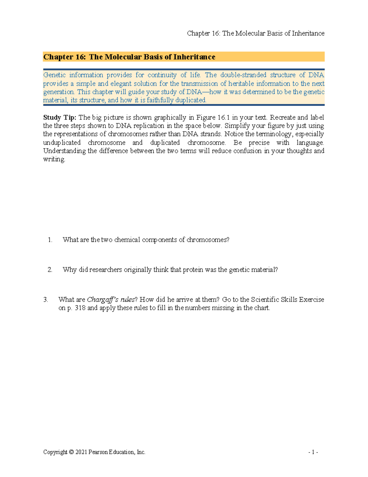 Reading Guide 16 - Copy - Chapter 16: The Molecular Basis of ...