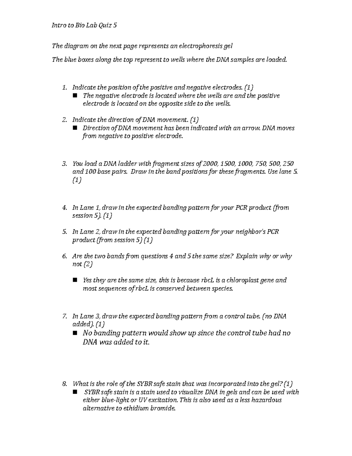 Intro To Bio I Lab Quiz 5 - Intro To Bio Lab Quiz 5 The Diagram On The ...