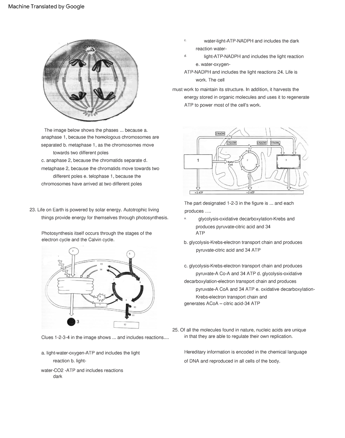 marketing-task-12-2-8-11-4-6-2-5-12-9-3-1-7-13-14-10-3-c-anaphase-2