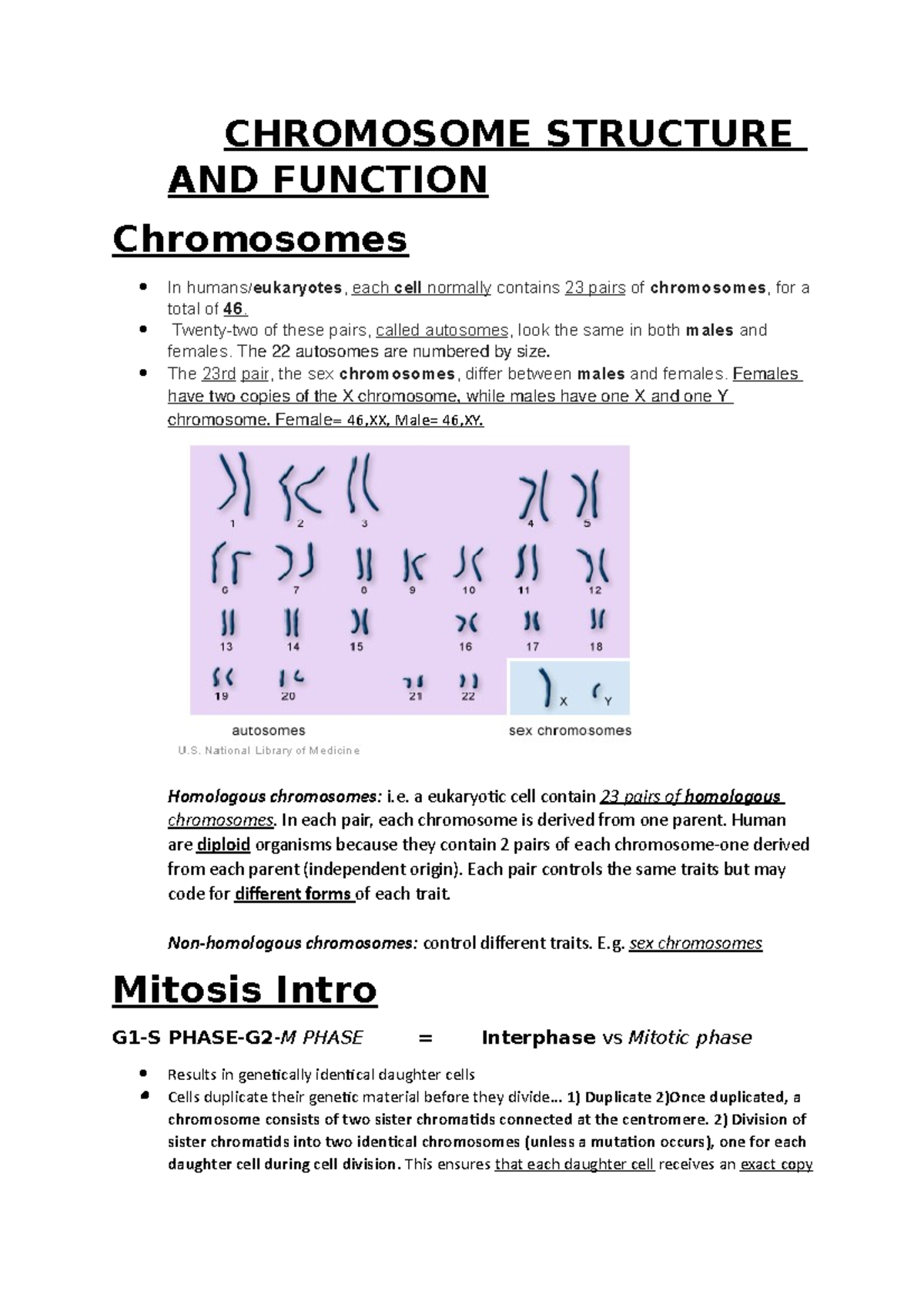 Chromosome Structure AND Function notes CHROMOSOME STRUCTURE AND