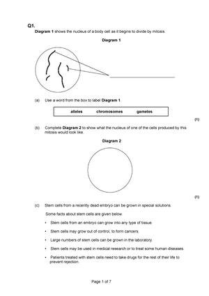 Revised NCE-DLS Cycle 1 First Semester Sequencing Charts (4)-6 ...