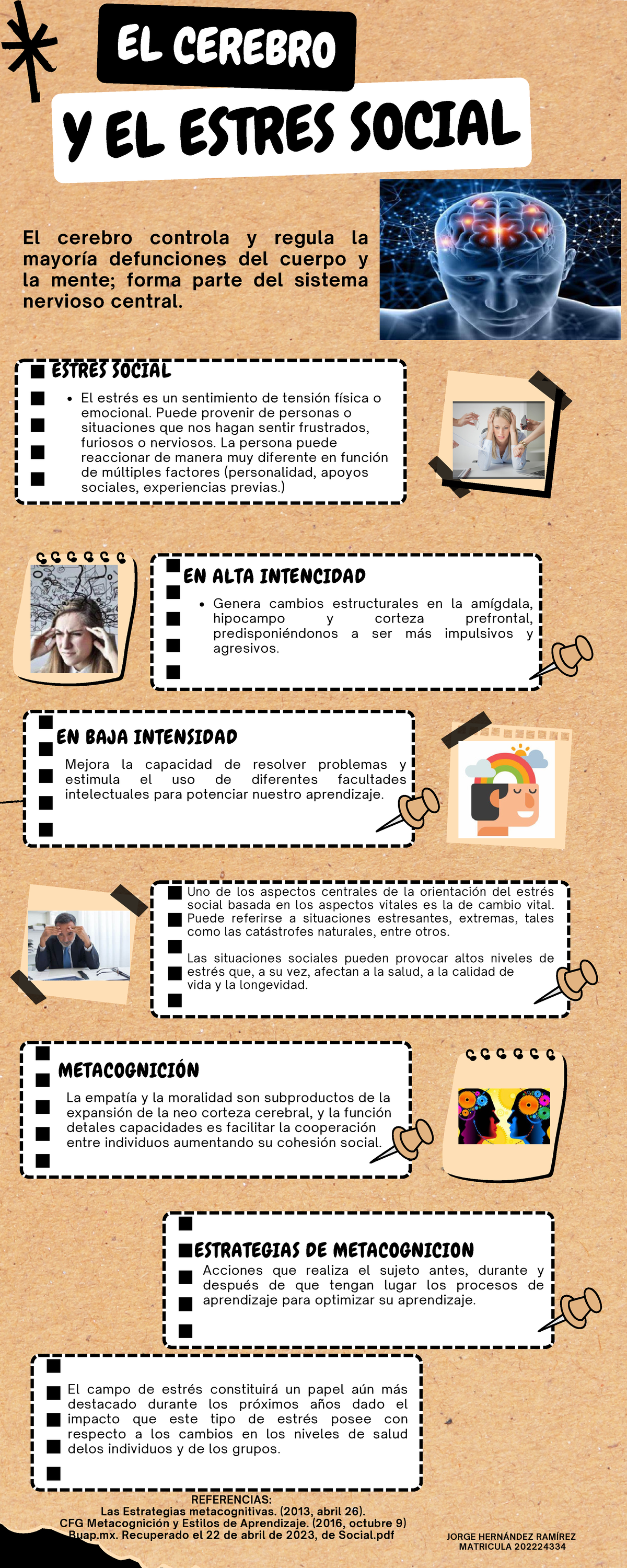 A3.3 EL Cerebro Y EL Estres Social -2 - Y EL ESTRES SOCIAL ####### EL