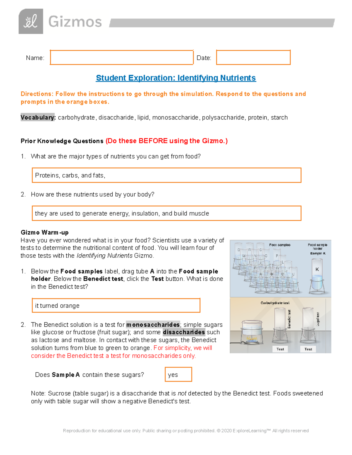 lab identifying nutrients assignment lab report brainly