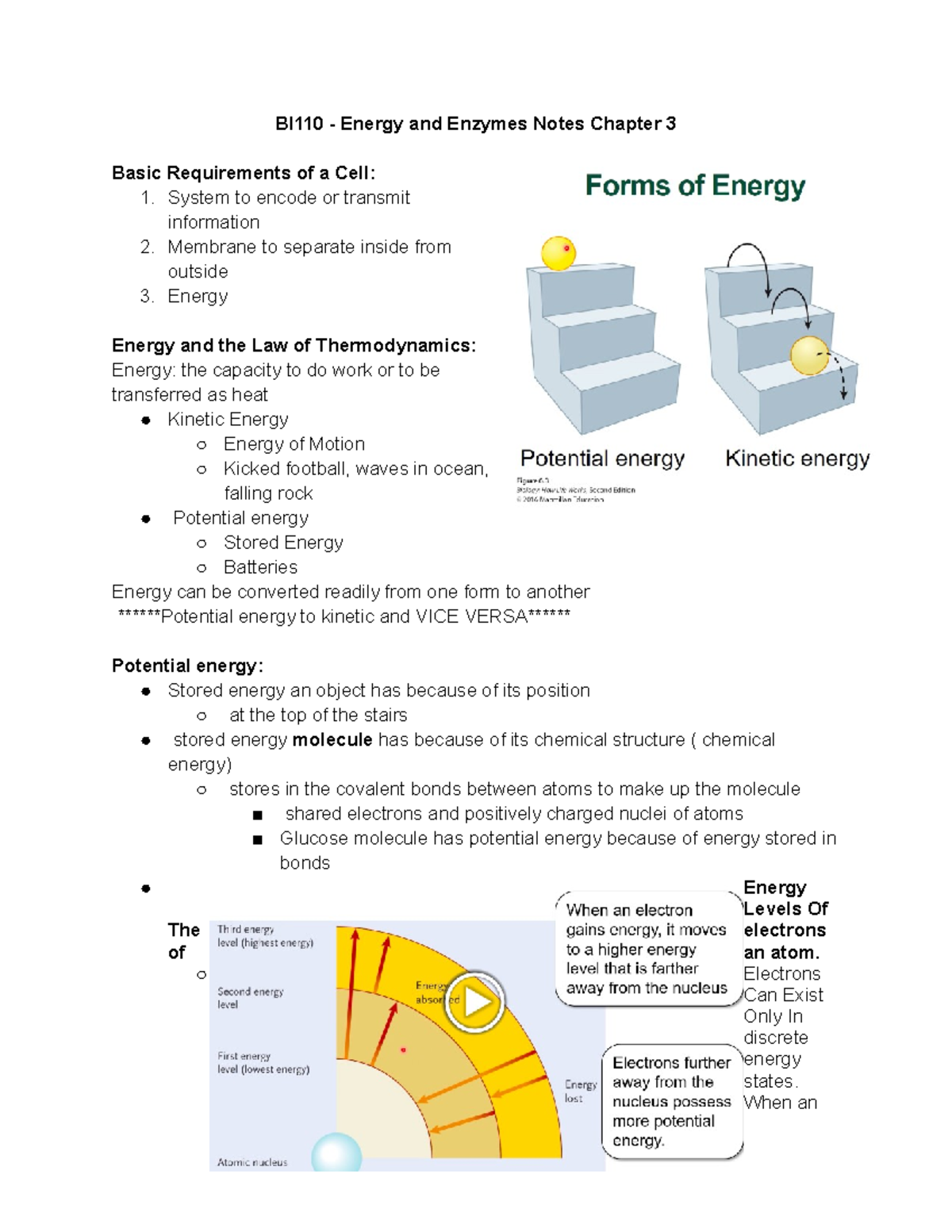 BI110 - Chapter 3 Energy And Enzymes Notes - BI110 - Energy And Enzymes ...