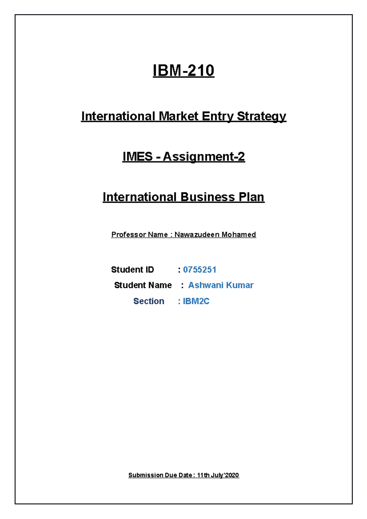 international business plan assignment