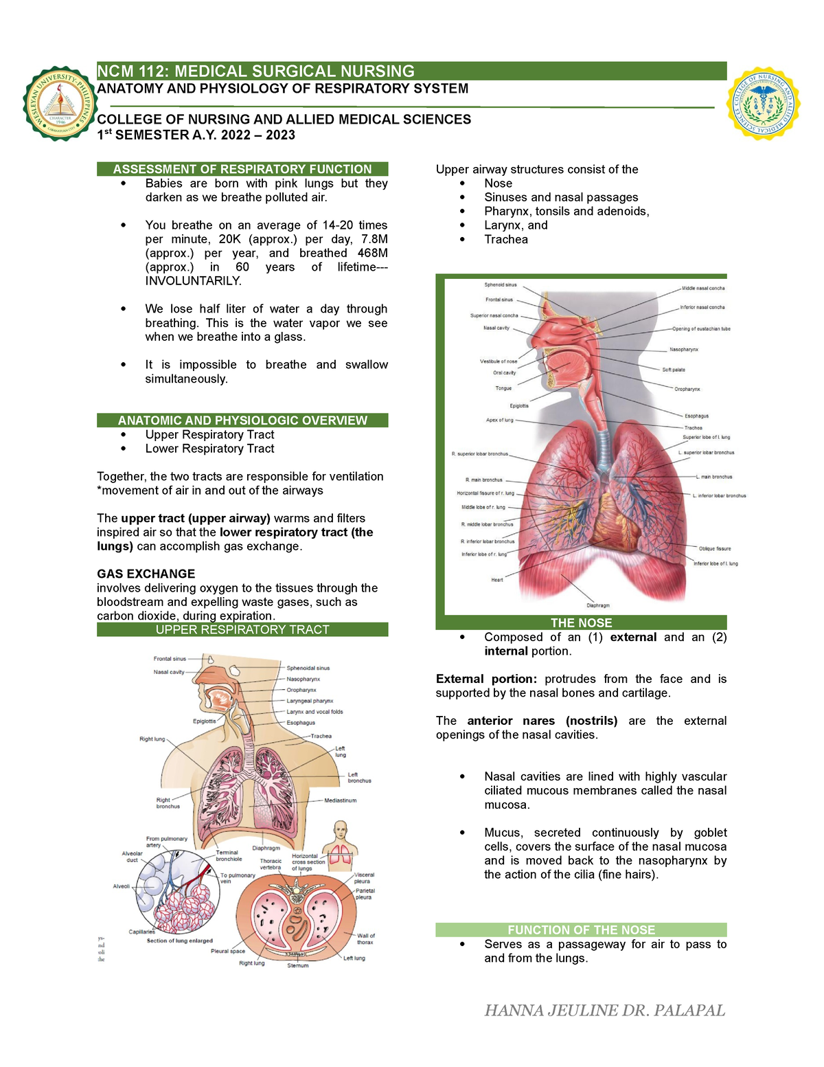 Ms trans anaphy respi - goodlucks - ANATOMY AND PHYSIOLOGY OF ...