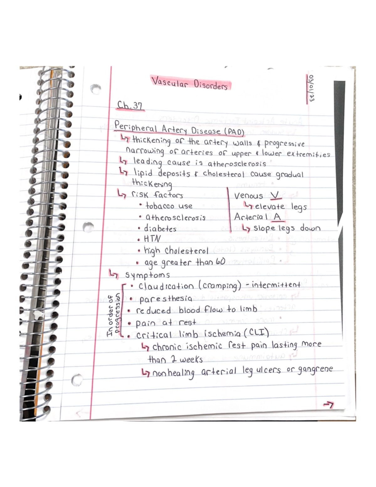 Vascular disorders nur206 studocu