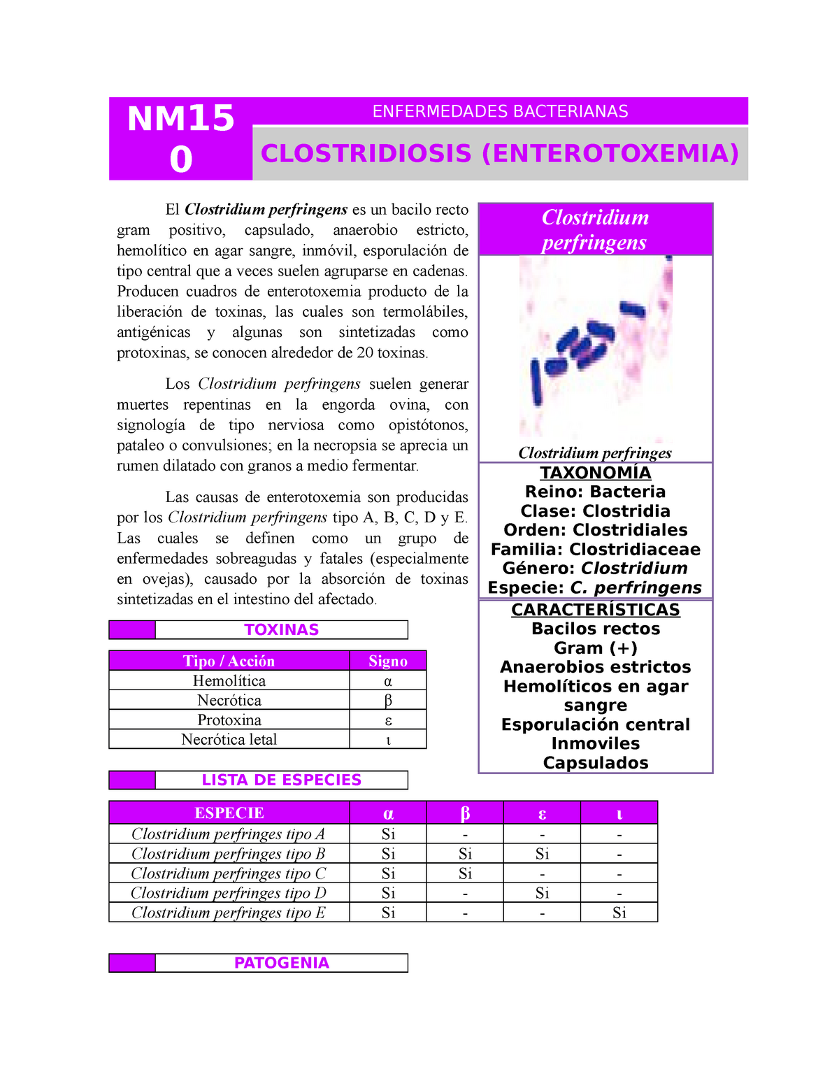 NM150 Enterotoxemia - NM15 ENFERMEDADES BACTERIANAS CLOSTRIDIOSIS ...