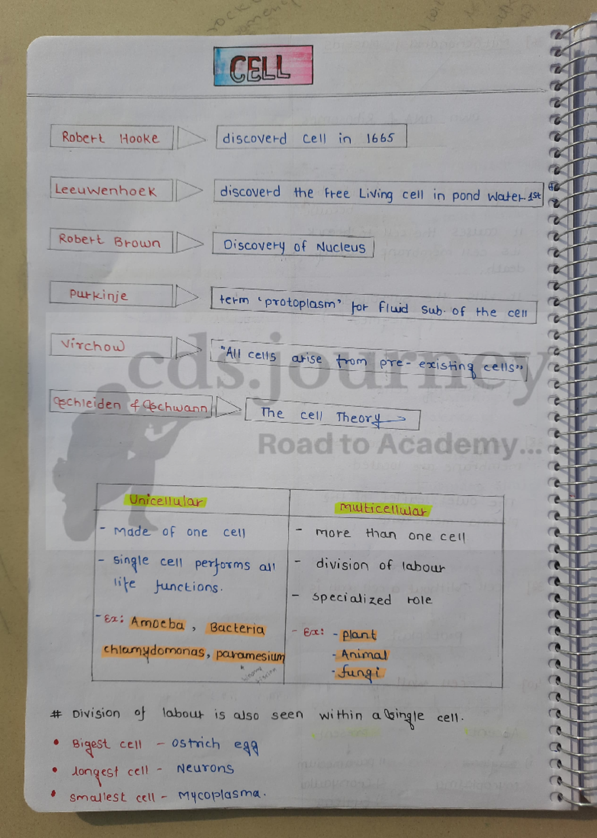 Biology class notes - Biology HL - Studocu