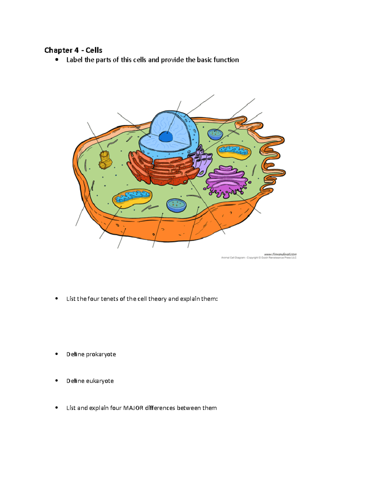 Chapter 4 Cells Outline - Chapter 4 - Cells Label The Parts Of This ...