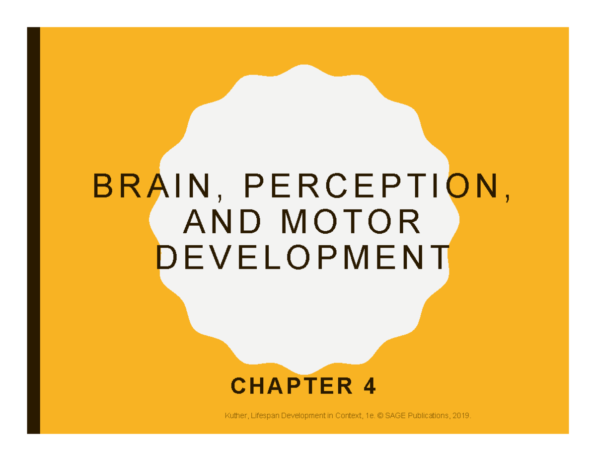 Brain%2C+Perception%2C+and+Motor+Development - B R A I N , P E R C E P ...