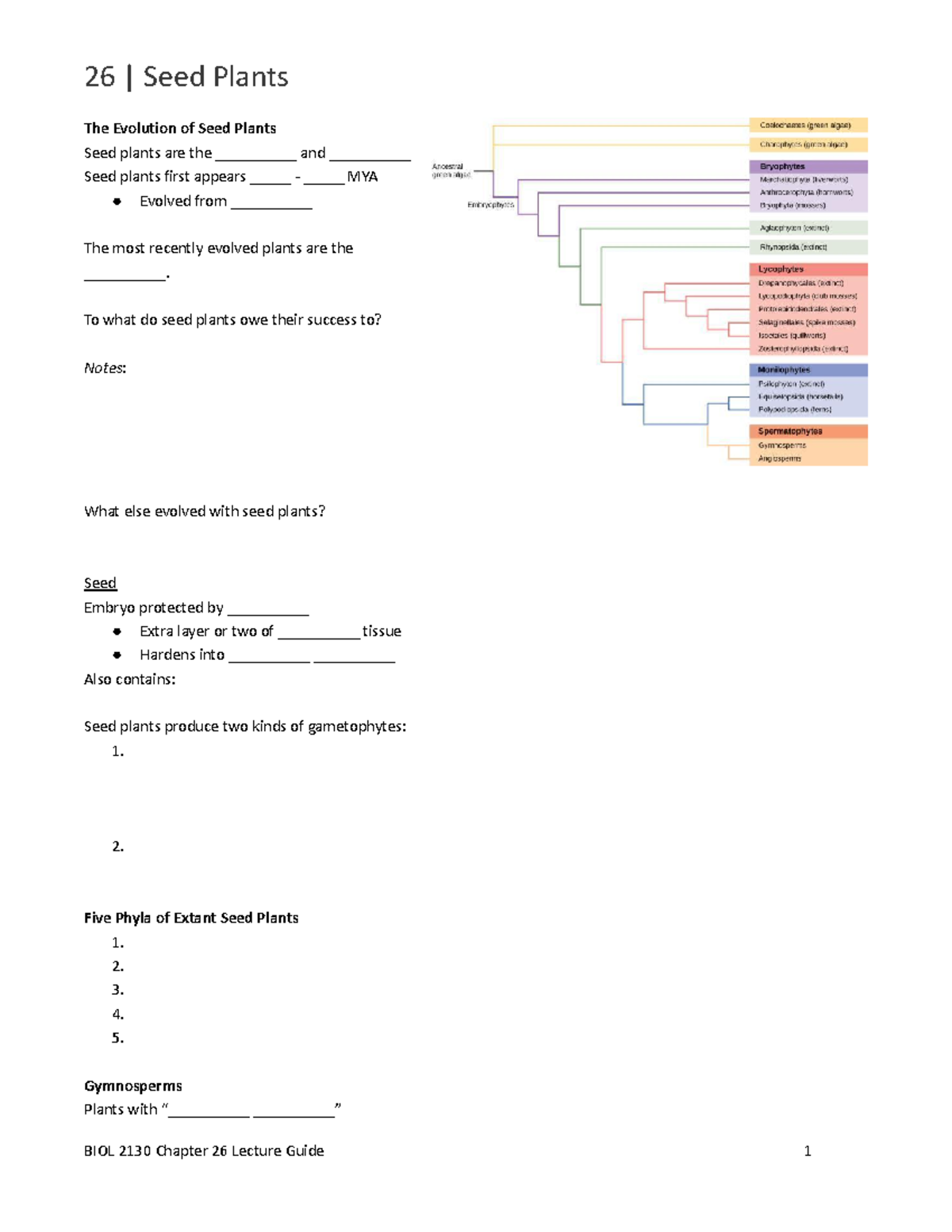 Chapter 26 Lecture Guide - 26 | Seed Plants The Evolution Of Seed ...