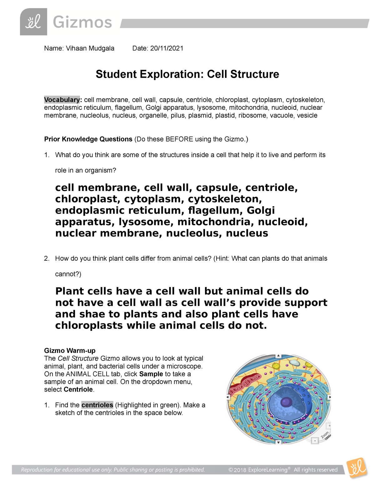 Cell Structure SE GIZMO EXPLORATION SHEET - Name: Vihaan Mudgala Date:  20/11/ Student Exploration: - Studocu