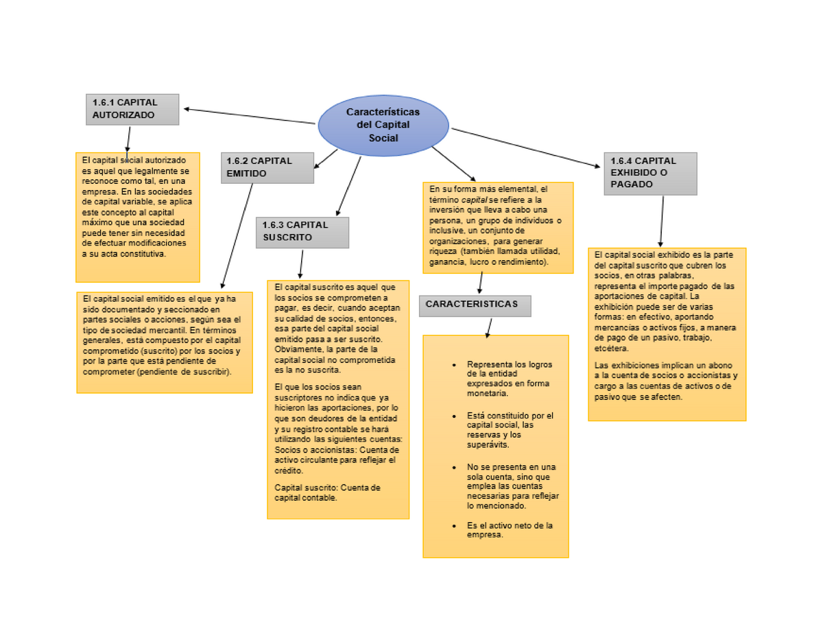Mapa conceptual Características del capital social - Administración -  Studocu