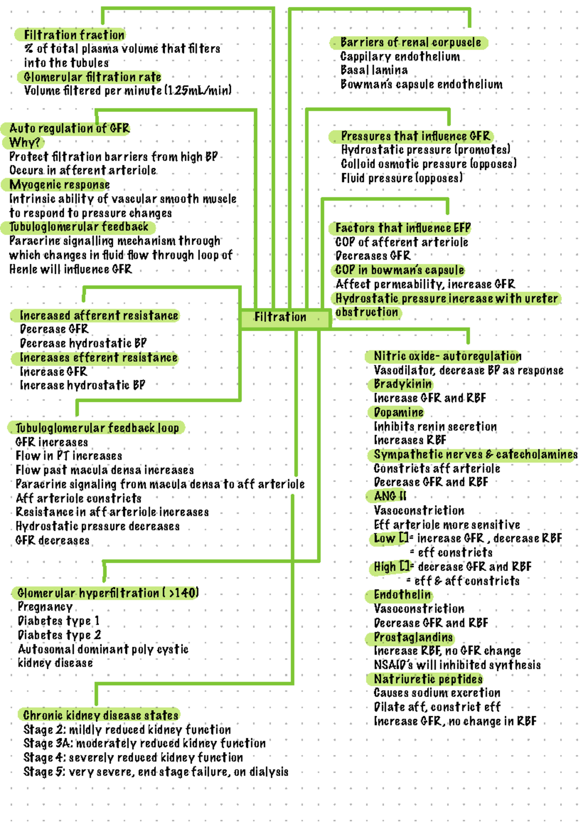 FLG221 Exam Notes - Filtration Filtration fraction % of total plasma ...