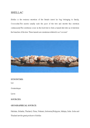 Allergens and Allergenic Preparations - OR • The harmful reaction to ...