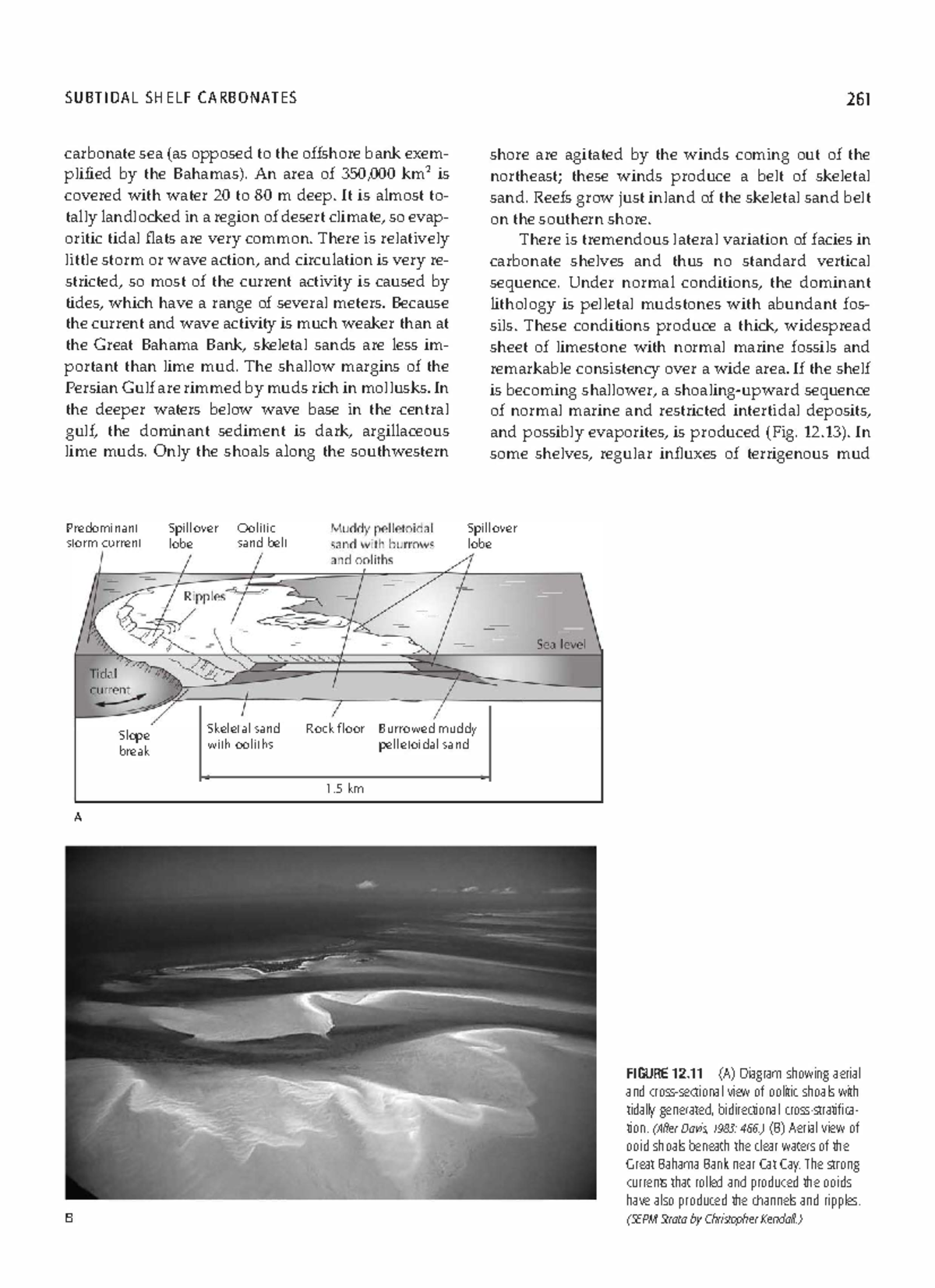 Sedimentary Geology ( PDFDrive )31 SUBTIDAL SHELF CARBONATES