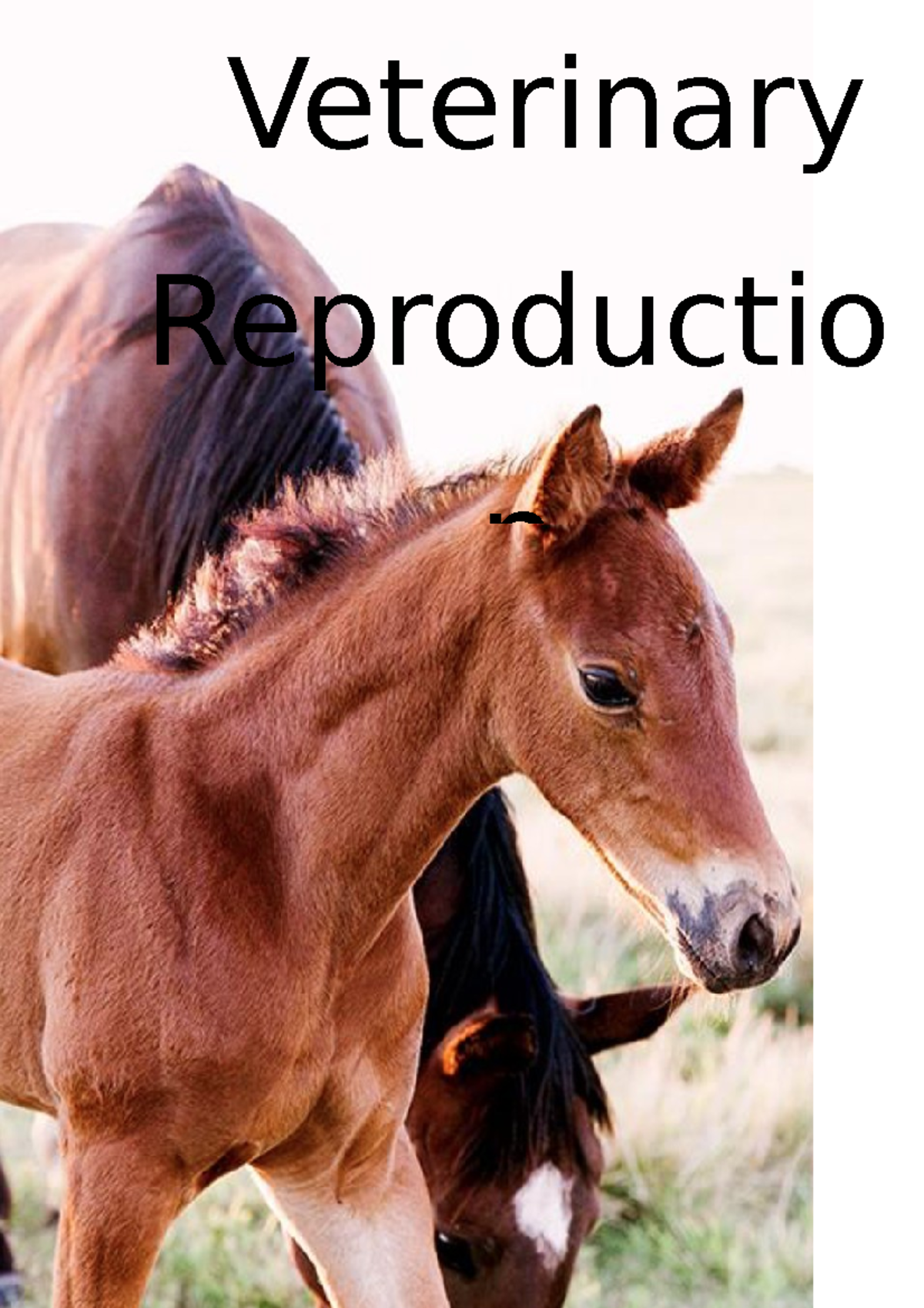 Vet Repro - summary of whole course - Veterinary Reproductio n ...