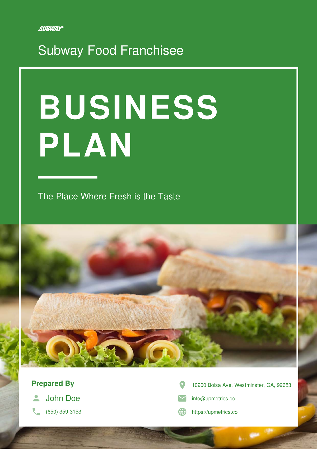 subway franchise business plan sample