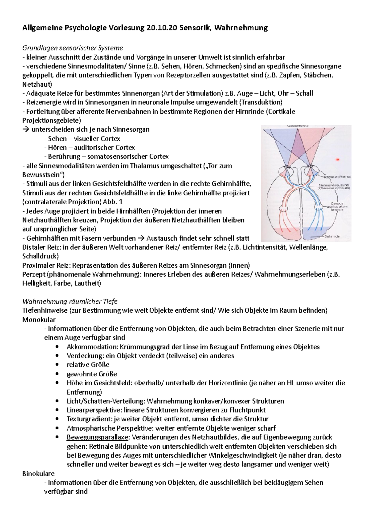 Allgemeine Psychologie Vorlesung 20.10.20 Sensorik, Wahrnehmung ...