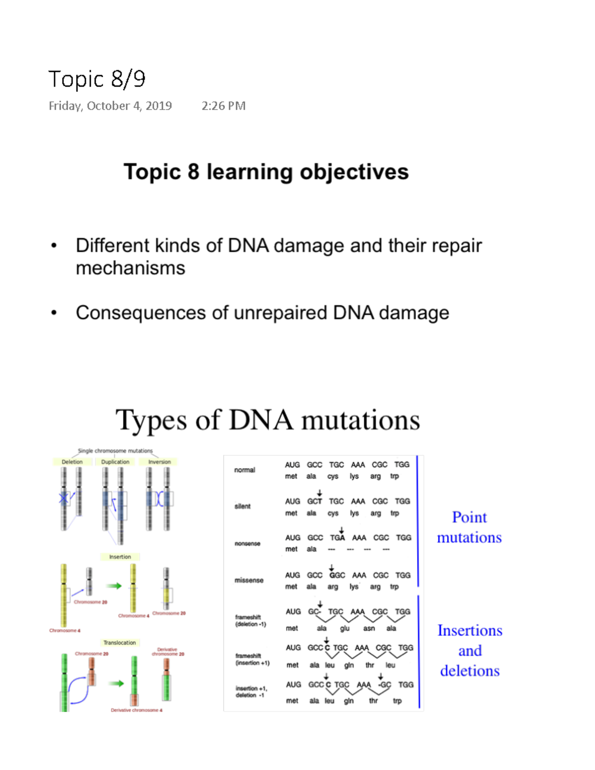 Biochem Lecture 8:9 - • Chemical Structure Of Nucleic Acids • B-DNA And ...