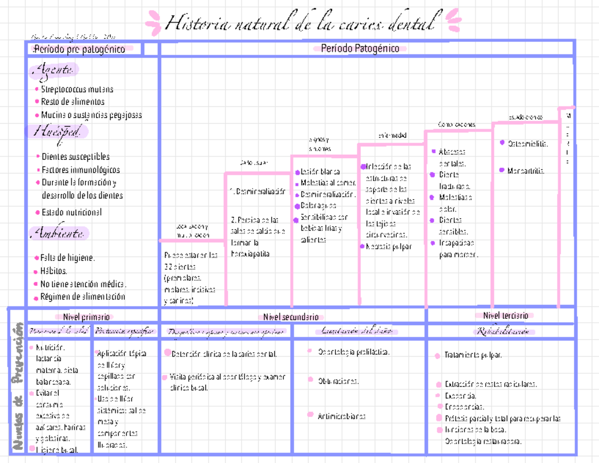 Historia Natural De La Enfermedad Periodontal www.studocu.com