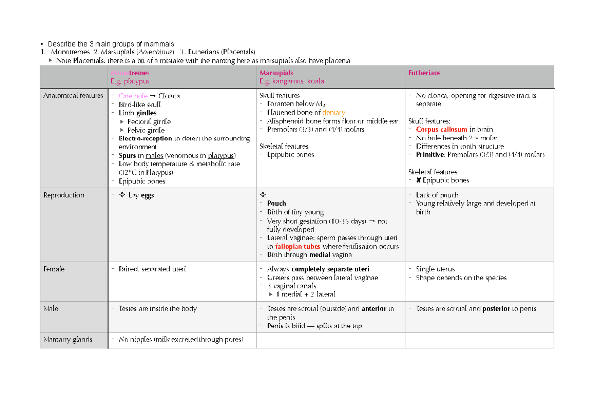 Mammals comparison - • Describe the 3 main groups of mammals 1 ...