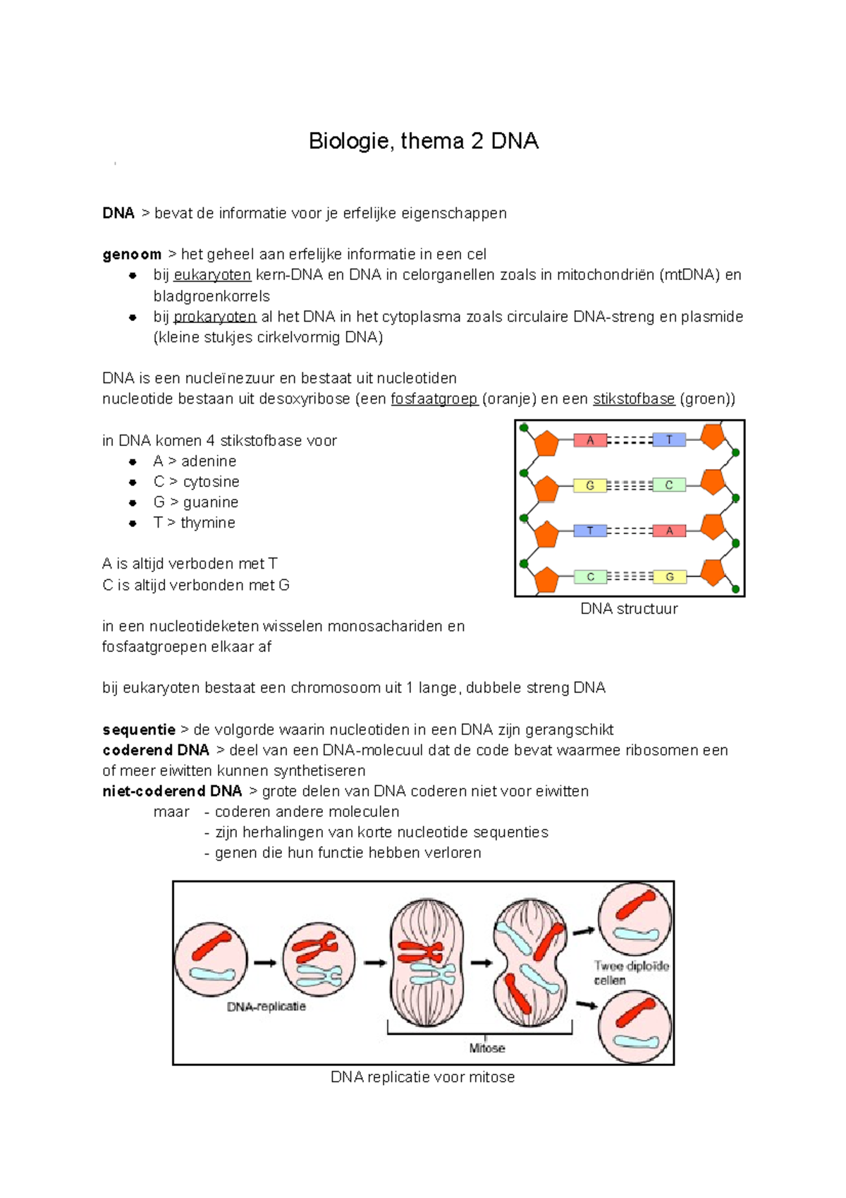 Thema 2 DNA havo 5 Biologie, thema 2 DNA DNA > bevat de informatie voor je erfelijke