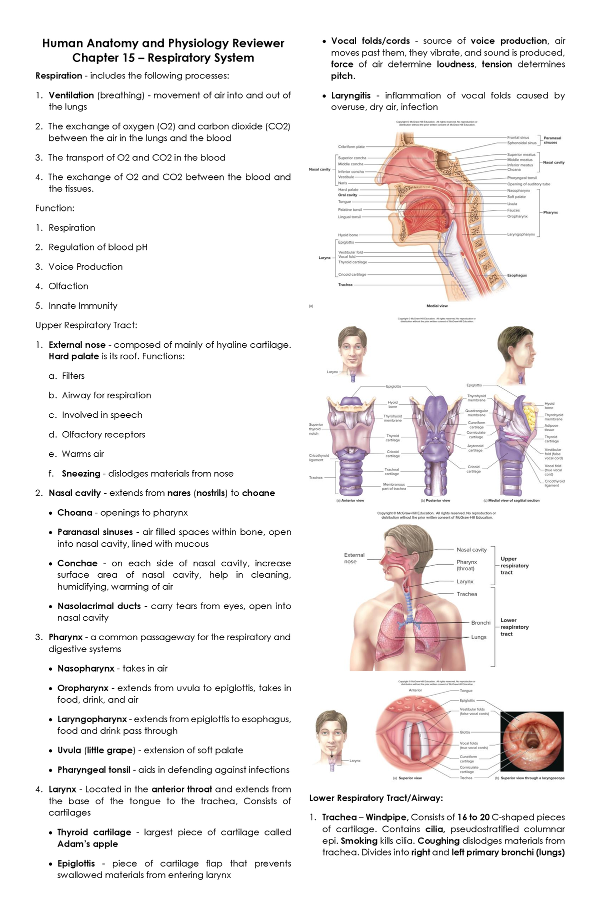 Transes U15 Respiratory System - Human Anatomy and Physiology Reviewer ...
