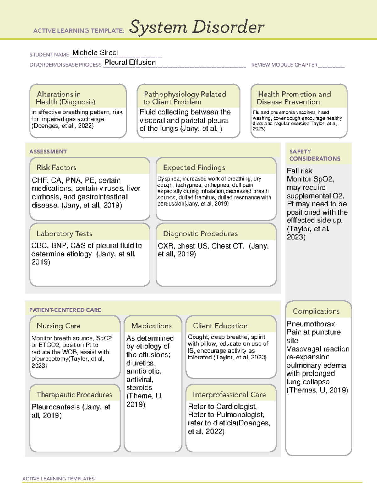 Msireci Pleural Effusion Template Active Learning Templates