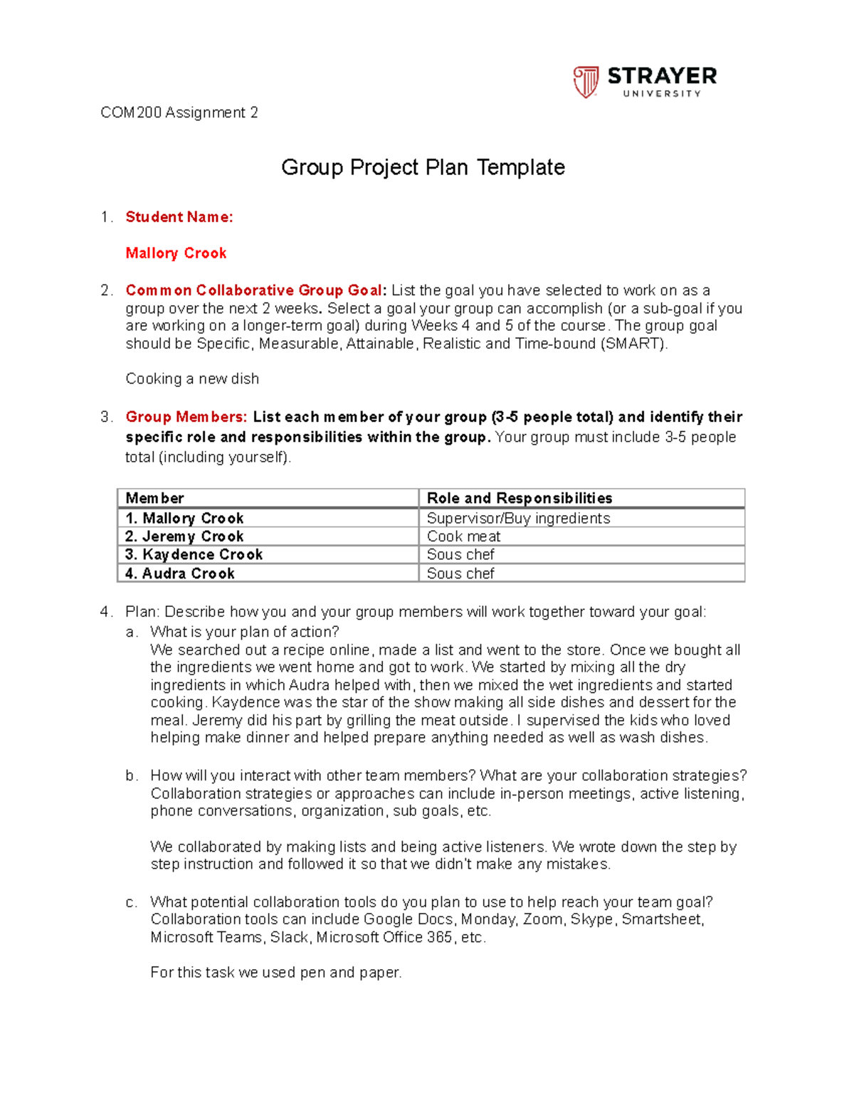 Intro to bus Group Project Plan - COM200 Assignment 2 Group Project ...