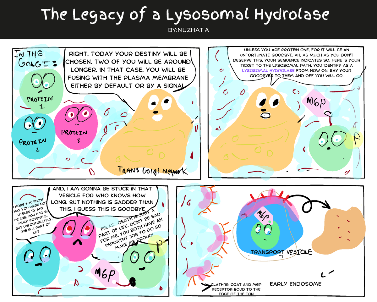 Bio comic - BIOB 10 - U of T - Studocu