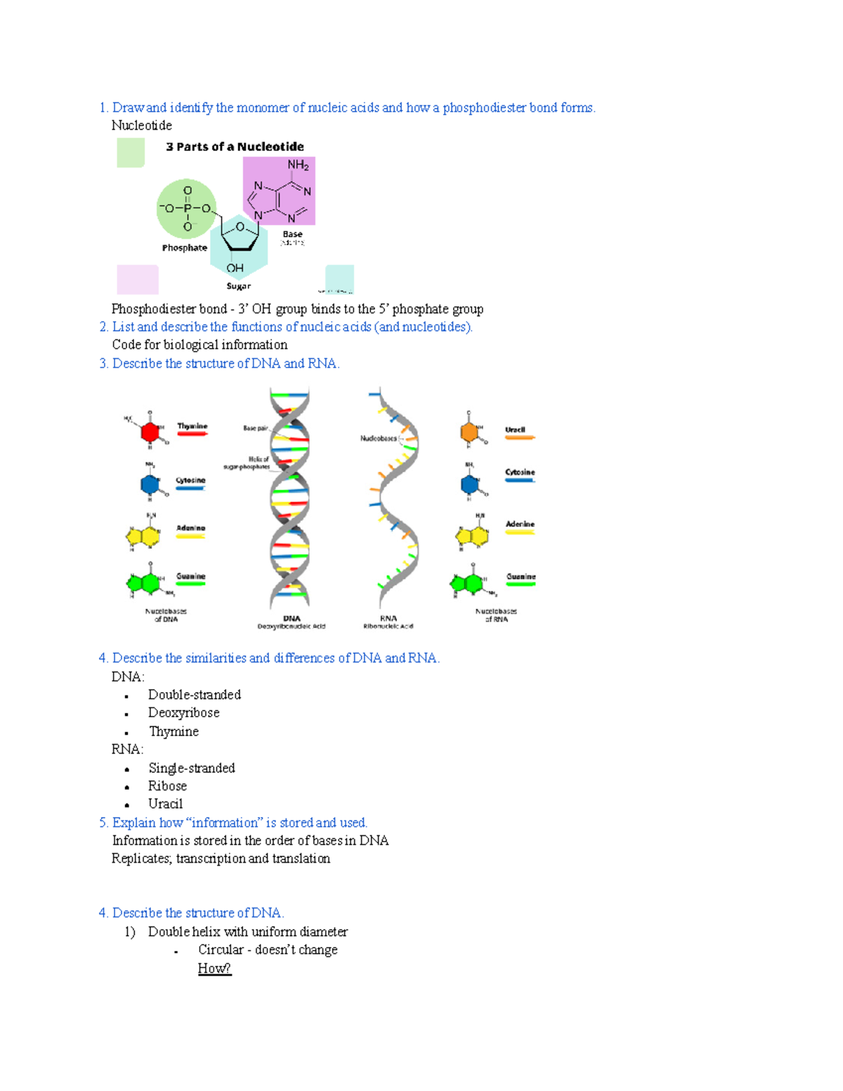 BISC 160 - TEST 3 Lecture Objectives - Draw and identify the monomer of ...