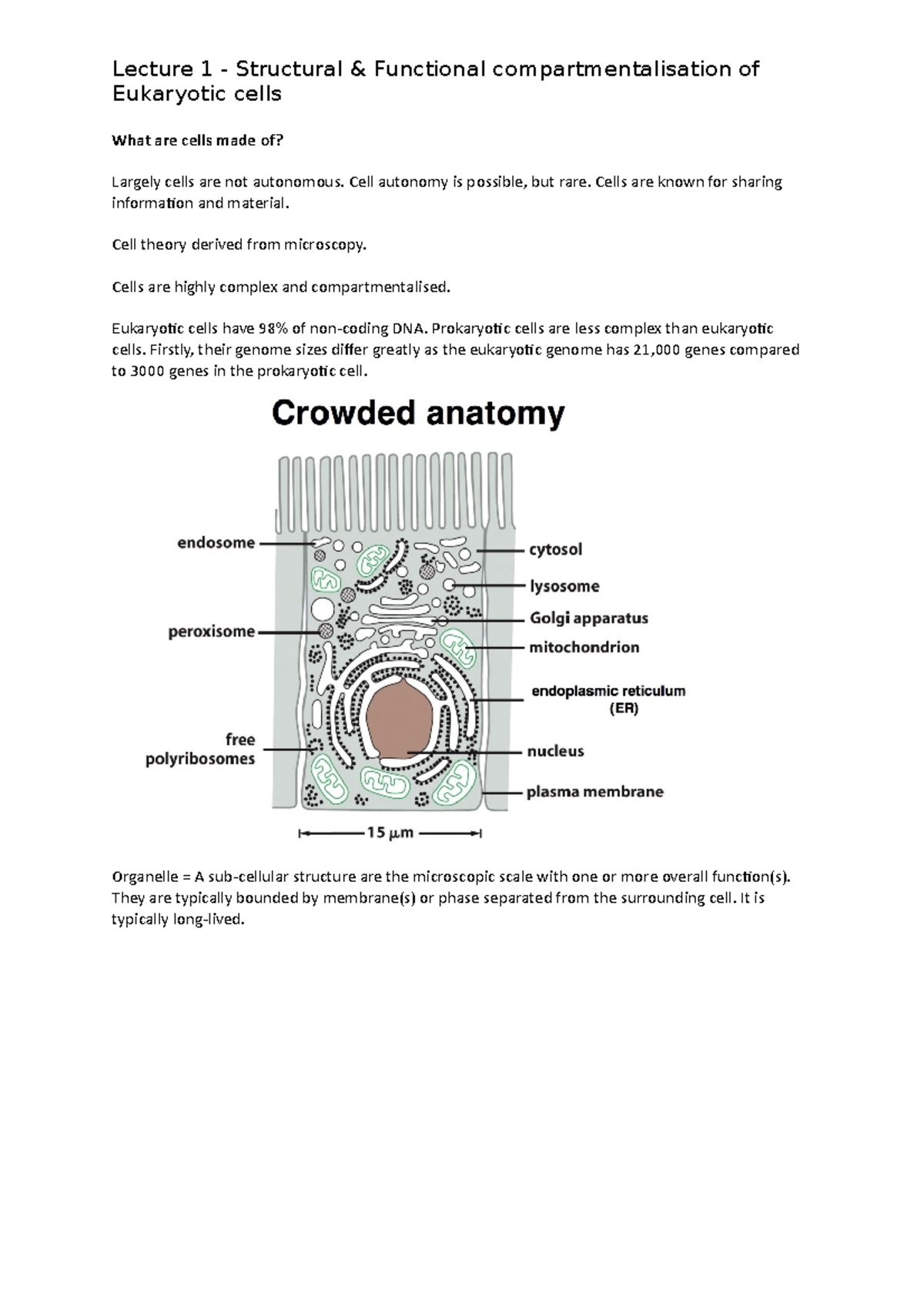 Lecture 1 - Structural & Functional compartmentalisation of Eukaryotic ...