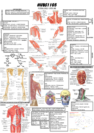 Final Exam Cheat Sheet - 1 of organisation 1. Chemical 2. Cellular 3 ...