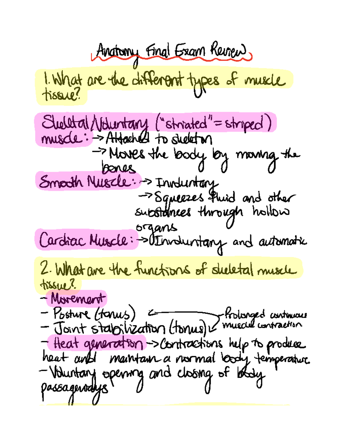 Anatomy Final EXAM Review - Anatomy FinalExamReview hmmm 1 What ...