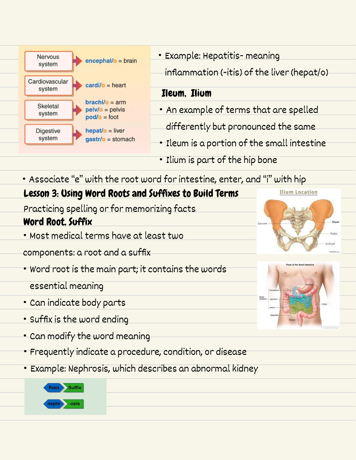 medical-terminology-5-using-root-words-and-suffixes-to-build-terms