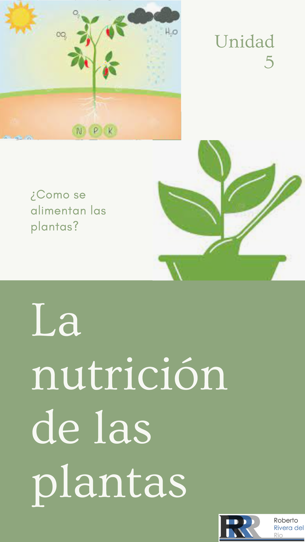 Nutrición De Las Plantas La Nutrición De Las Plantas Unidad 5 ¿como Se Alimentan Las Plantas 2405